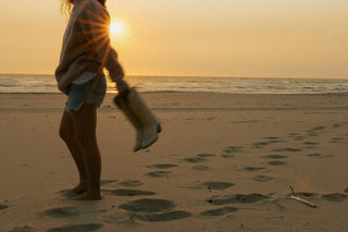 Western Shores Collection
